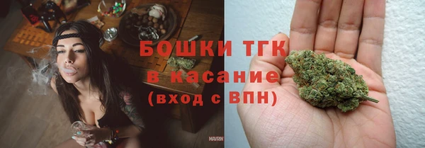 амф Магас