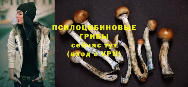 амф Майский