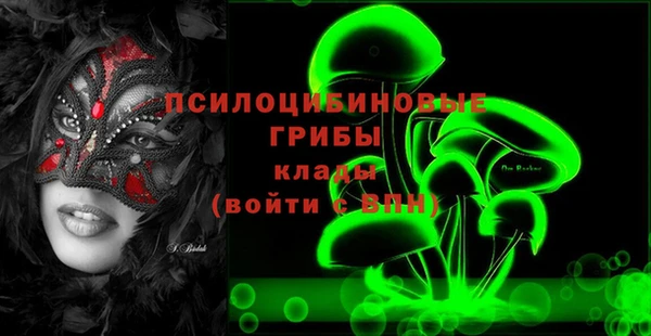 спиды Мегион