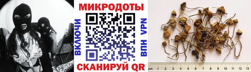 Галлюциногенные грибы Magic Shrooms купить наркоту Чегем